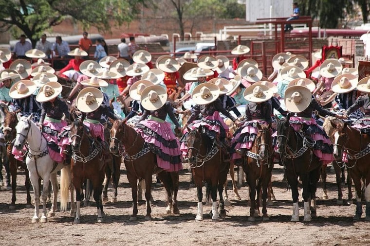 墨西哥游行中的马