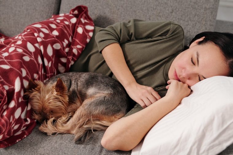 女人和狗睡在沙发上