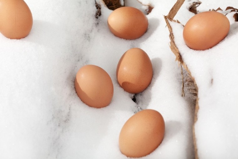 鸡蛋在雪地上