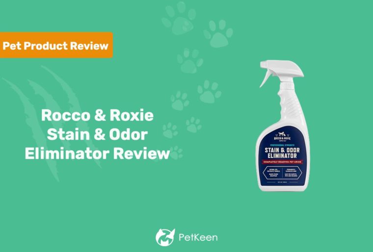 Rocco & Roxie污渍和气味消除器审查特色图像
