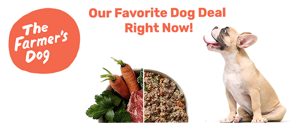 Our favorite dog deal right now