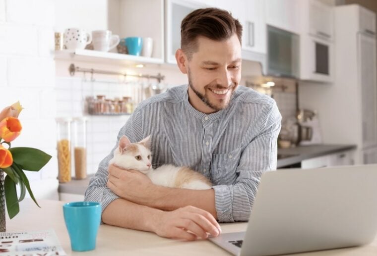 人与猫和笔记本电脑