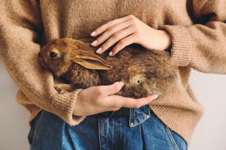 年轻女子与可爱的兔子