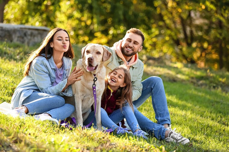 幸福的家庭与拉布拉多狗坐在格子在公园